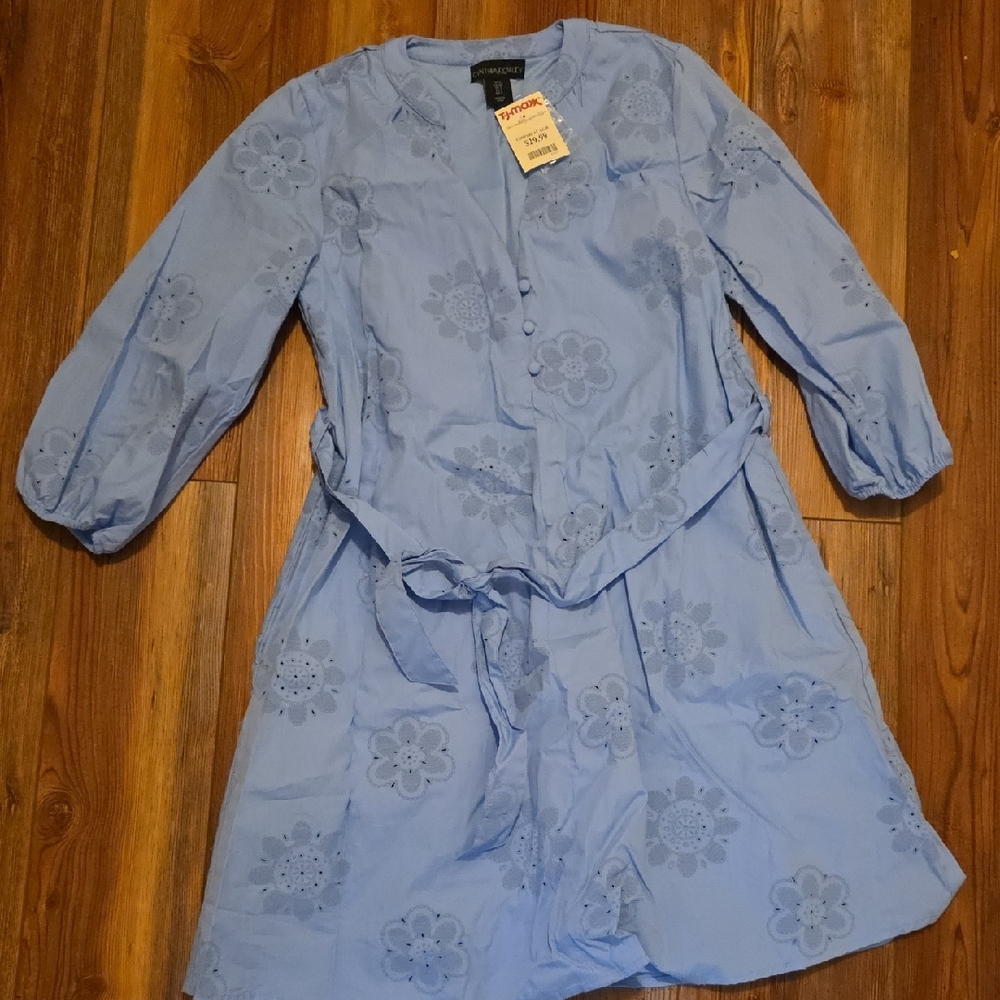 Cynthia Rowley Light Blue Embroidered Dress